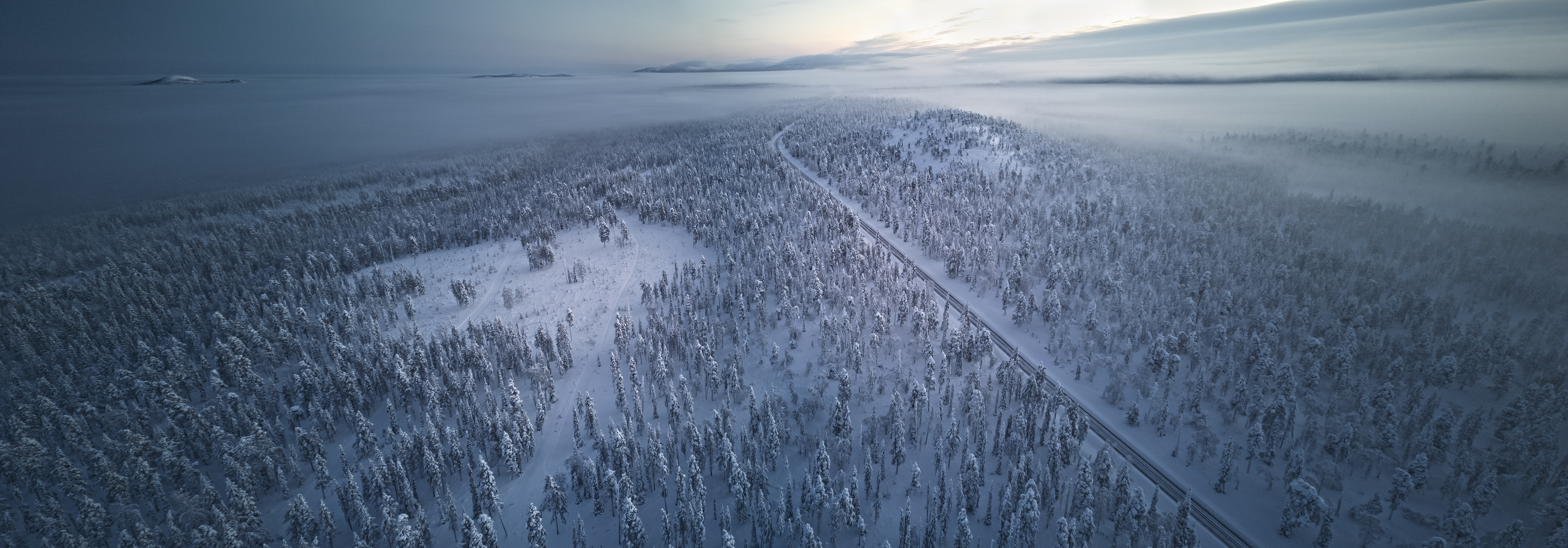 Finnlands Wälder